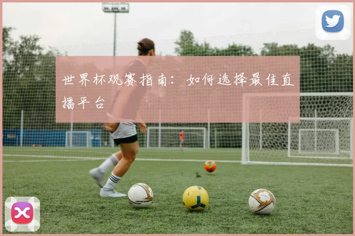 世界杯观赛指南：如何选择最佳直播平台