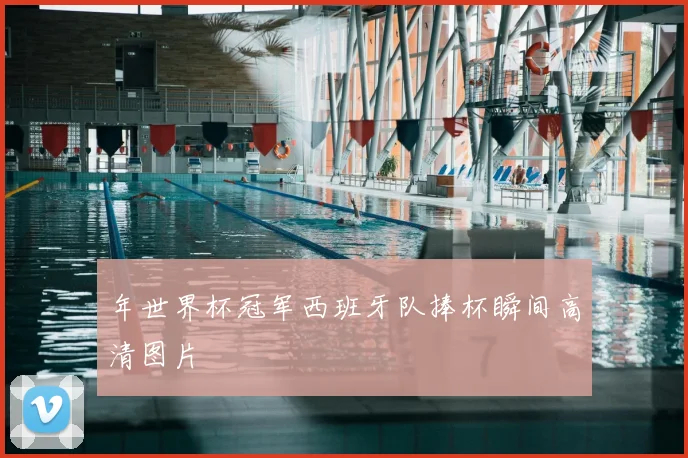 年世界杯冠军西班牙队捧杯瞬间高清图片
