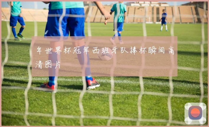 年世界杯冠军西班牙队捧杯瞬间高清图片