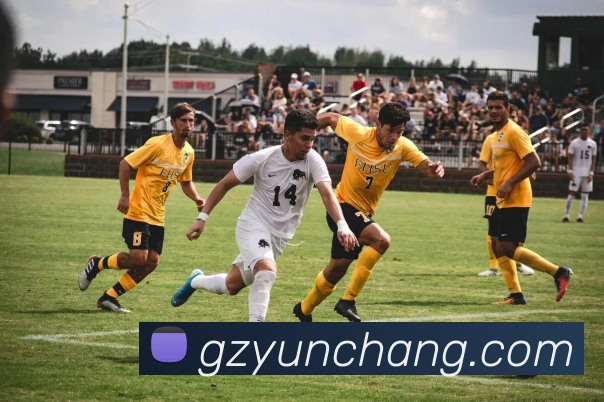 开云手机网页登录网页品牌故事