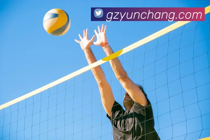 开云手机网页登录网页服务体系